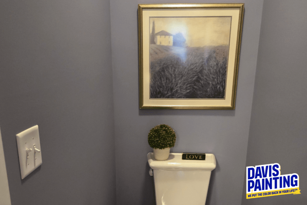 A bathroom corner with gray walls featuring a framed landscape painting above a toilet. A small, round plant sits on the toilet tank alongside a plaque that reads "LOVE." The name "DAVIS PAINTING" is on the wall.