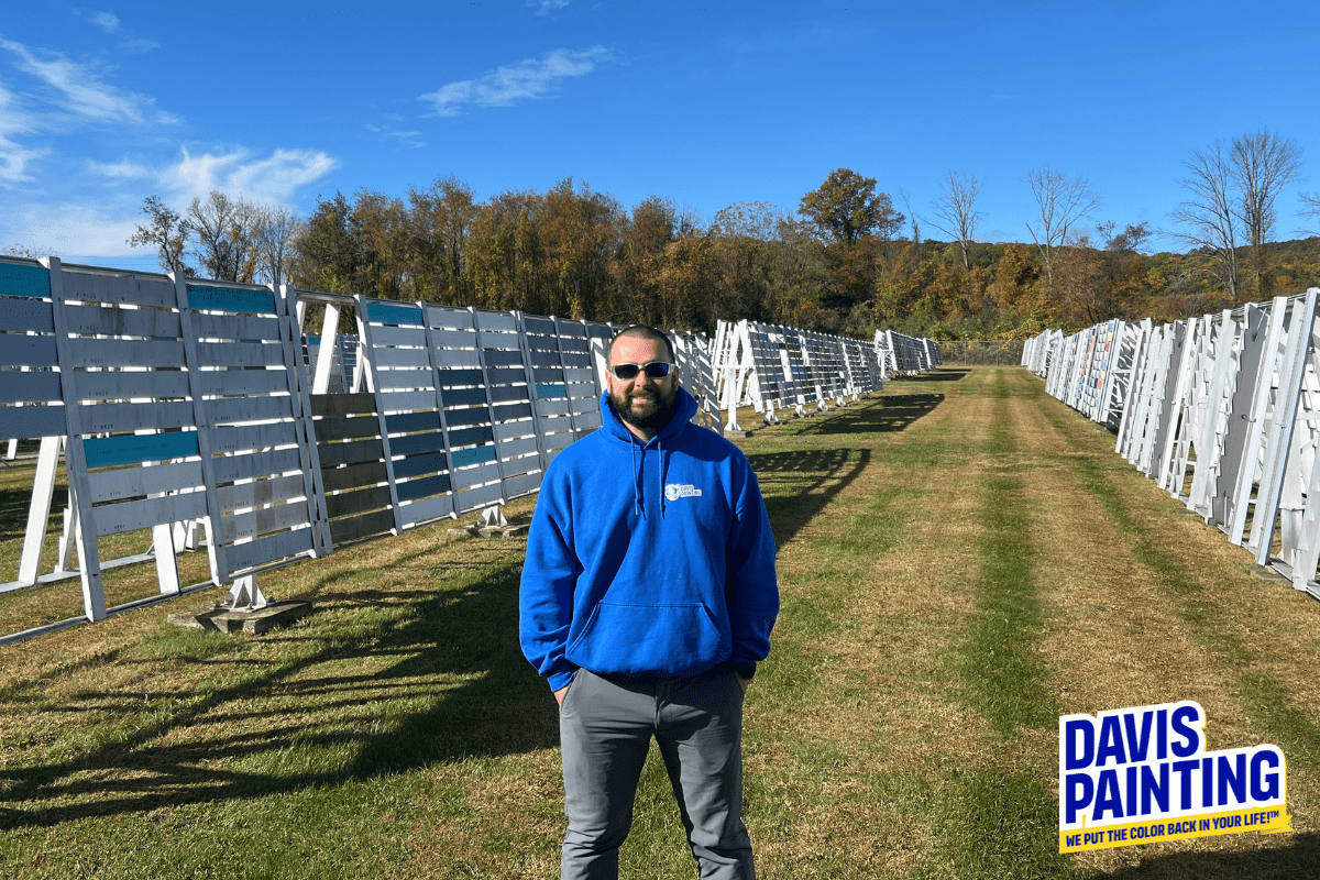 A person in a blue hoodie stands on a grassy path between rows of white wooden structures under a clear sky, showcasing the vibrant color of the year. The "Davis Painting" logo appears in the lower right corner.